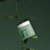 Pastă de dinți - aromă de mentă, 185g